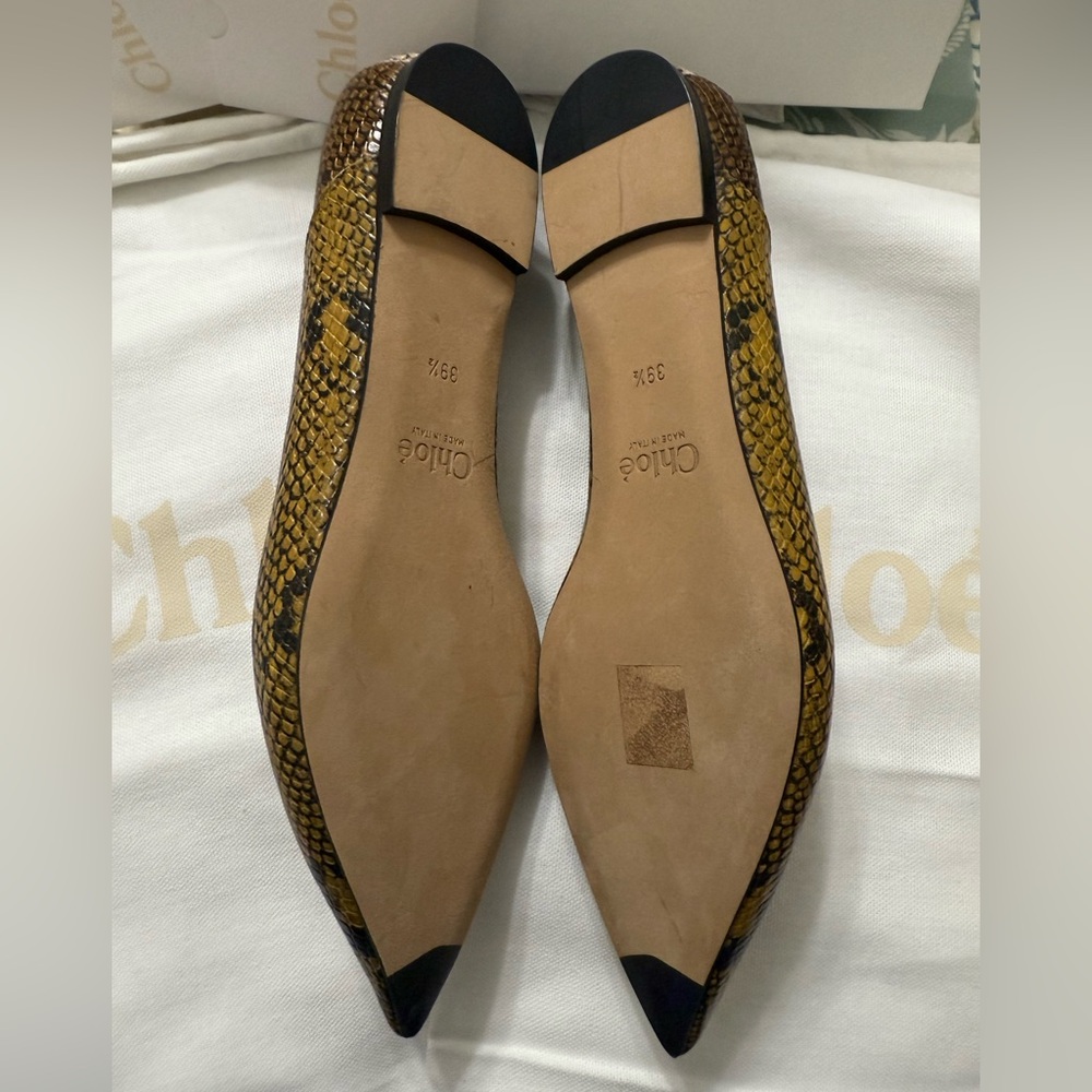 Chloe Leather Ballet Flats Python Scalloped Multicolored Size 9.5 New in Box - Picture 5 of 8
